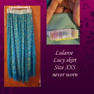 Lularoe lucy skirt